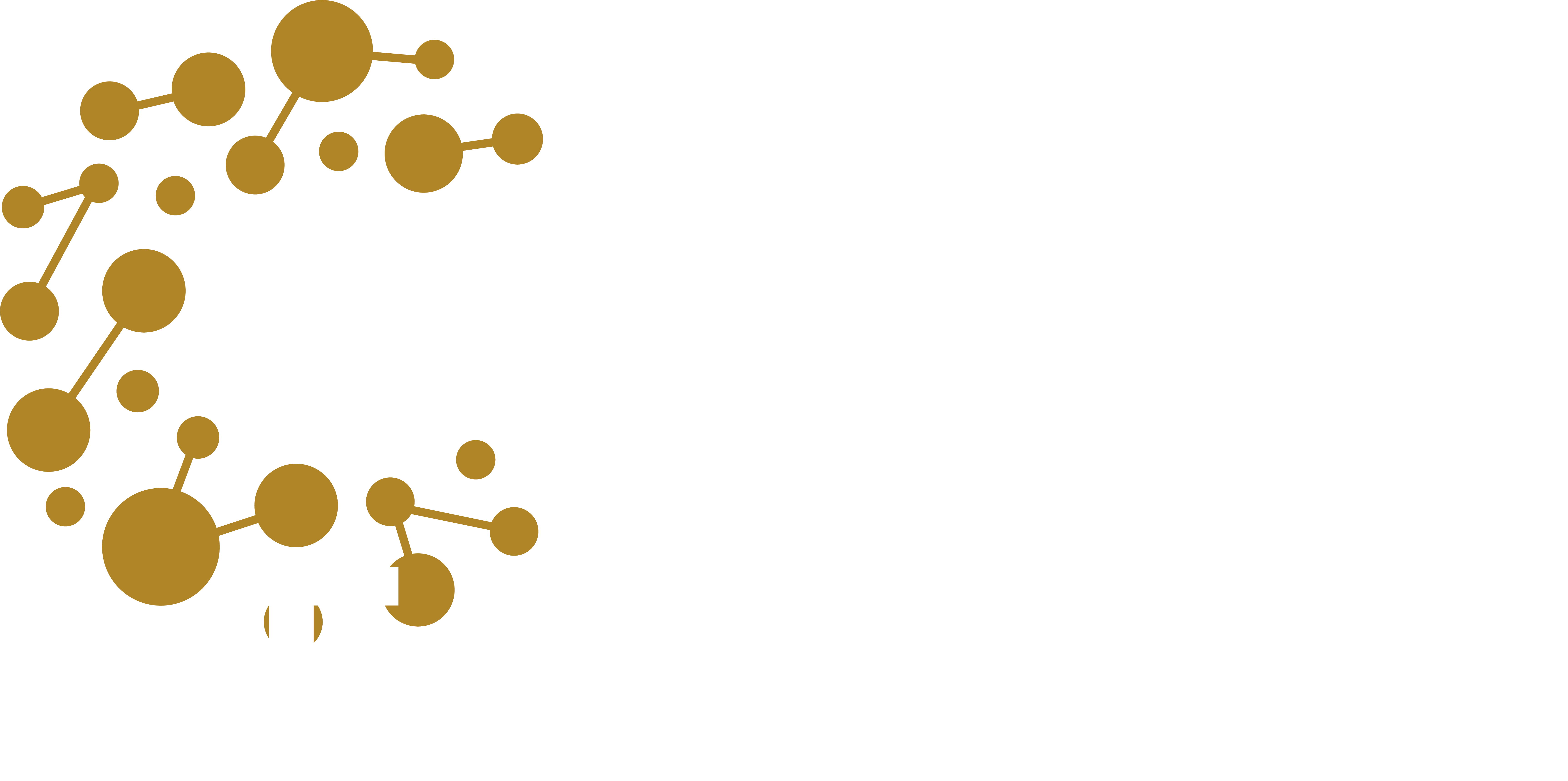 Coin Edex AI